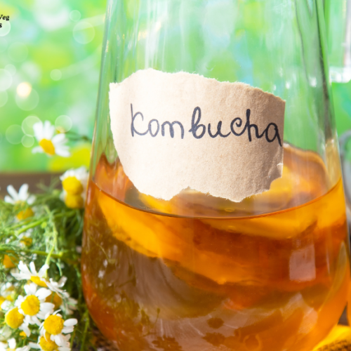 Homemade Kombucha Recipe