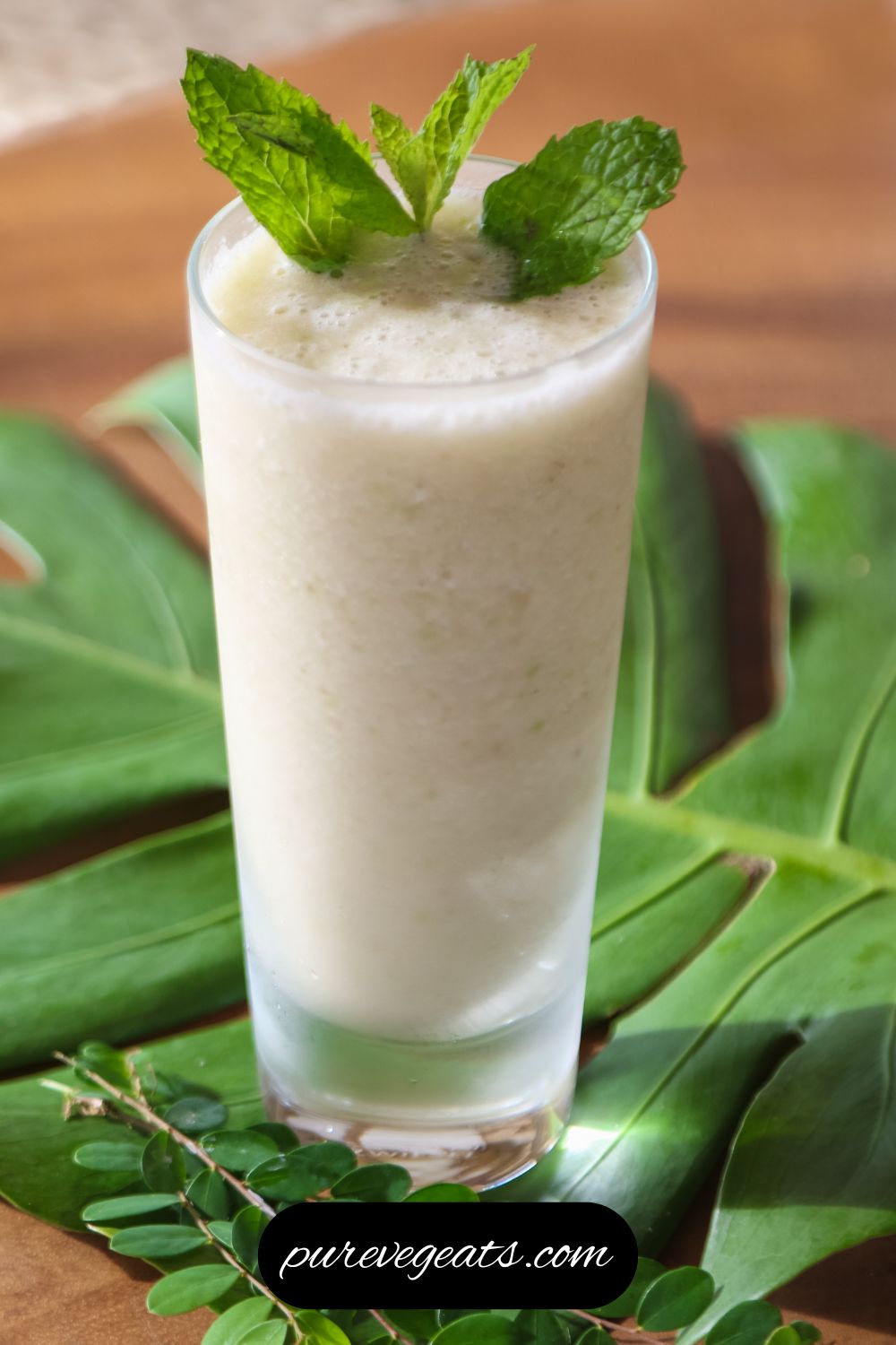 Easy Aloe Smoothie Recipe