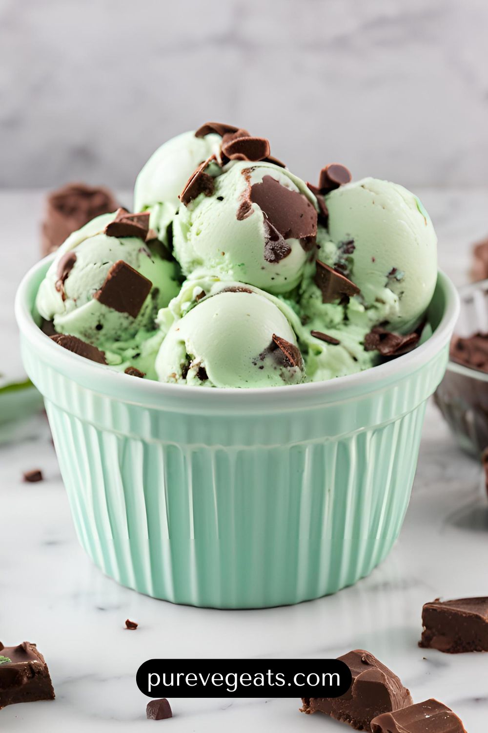 Mint Chocolate Chip Ice Cream Recipe