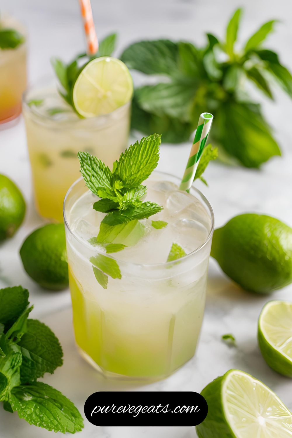 Refreshing Mojito Mocktails Recipe